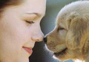 Receita de médico: beije o seu cachorro para se manter saudável 