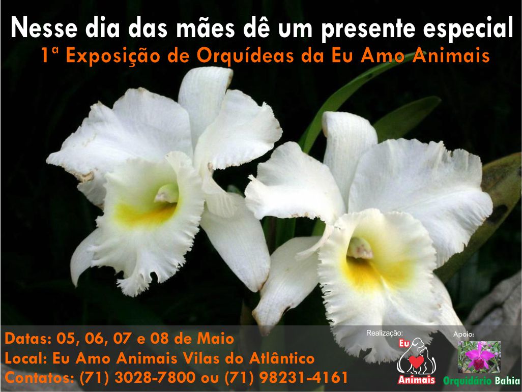Vilas do Atlântico recebe Exposição de Orquídeas nesta semana em homenagem ao dia das mães
