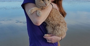 Mulher resgata e adota gato de 21 anos abandonado pelo dono