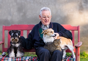 Convivência com os animais faz bem para pessoas idosas